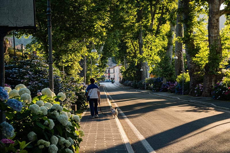 City Blooms
